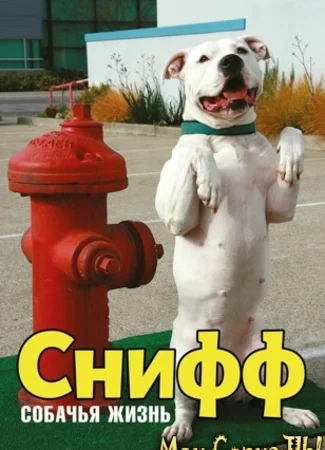 Снифф: Собачья жизнь
