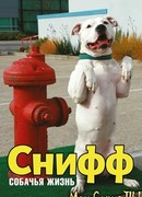 Снифф: Собачья жизнь