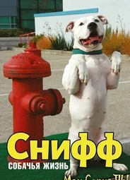 Снифф: Собачья жизнь