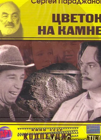Цветок на камне