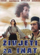 Наперекор всему