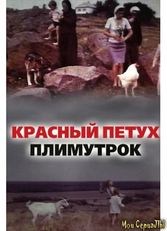 кино Красный петух плимутрок 17.05.20