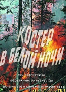 Костер в белой ночи