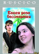 Белая роза бессмертия