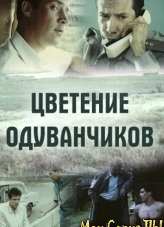 Цветение одуванчиков