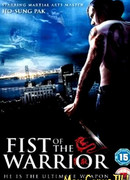 Кулак воина