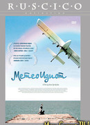 Метеоидиот