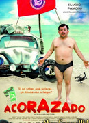 Броненосец