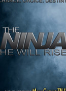 Ниндзя: Шаг в неизвестность