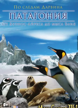 Патагония: По следам Дарвина 3D