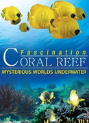 Коралловый риф: Удивительные подводные миры