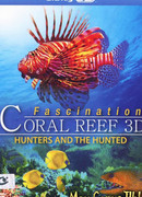 Коралловый риф: Охотники и жертвы