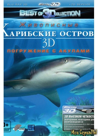 кино Карибские острова 3D: Погружение с акулами (Adventure Carribean 3D: Diving With Sharks) 17.05.20