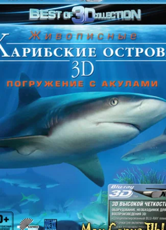 Карибские острова 3D: Погружение с акулами
