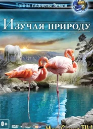 Изучая природу 3D