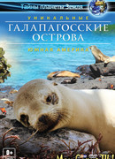 Галапагосские острова 3D