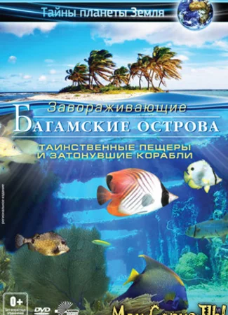 Багамские острова 3D: Таинственные пещеры и затонувшие корабли