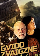 Гвидо Звагзне