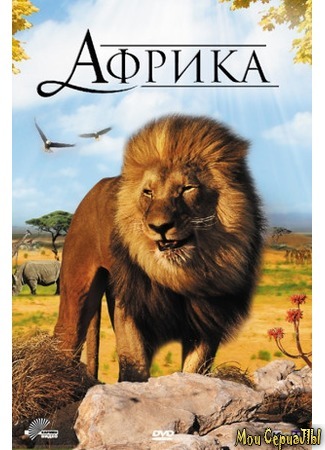 кино Африка 3D (Faszination Afrika 3D) 17.05.20