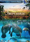 Эверглейдс 3D: Ламантины Кристальной реки