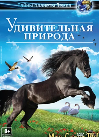 Удивительная природа