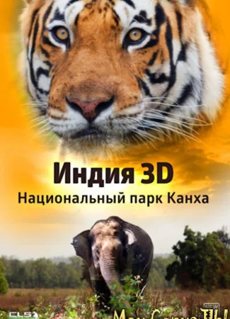 Индия 3D: Национальный парк Канха