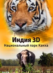 Индия 3D: Национальный парк Канха