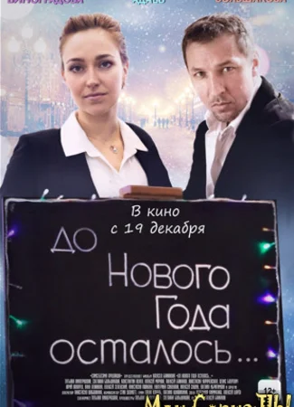 До Нового года осталось...