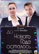 До Нового года осталось...