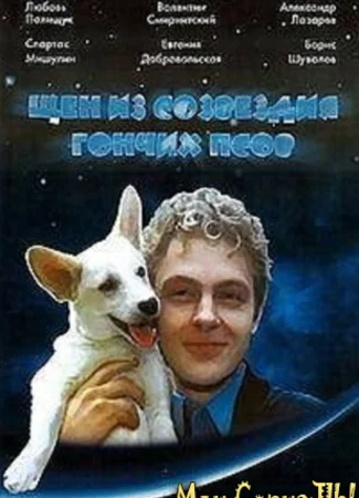 Щен из созвездия "Гончих псов"