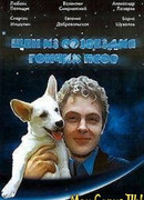 Щен из созвездия "Гончих псов"