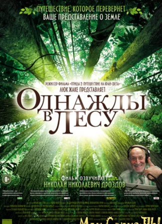 Однажды в лесу