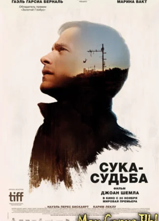 Сука-судьба