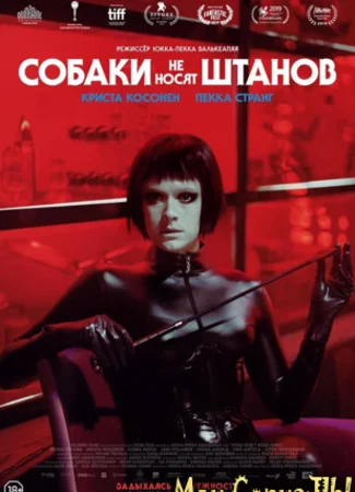 Собаки не носят штанов