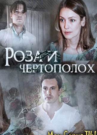 Роза и чертополох