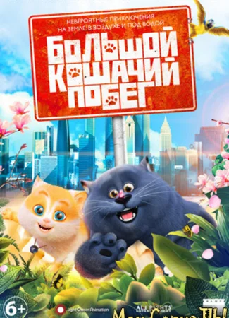 Большой кошачий побег