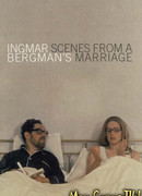 Сцены из супружеской жизни