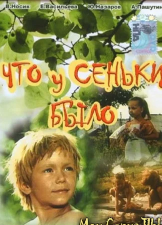 Что у Сеньки было