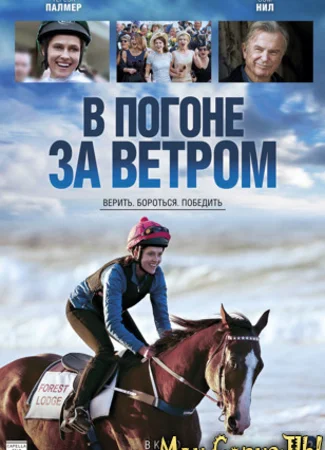 В погоне за ветром