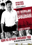 По волчьим законам