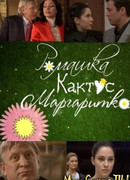 Ромашка, кактус, маргаритка