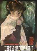 Цветы запоздалые