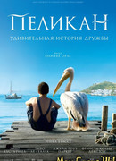 Пеликан