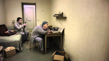Голубь сидел на ветке, размышляя о бытии