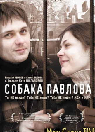 Собака Павлова