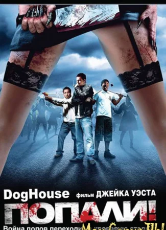 Попали!