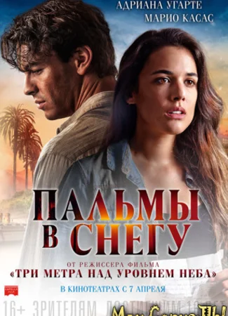 Пальмы в снегу