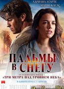 Пальмы в снегу