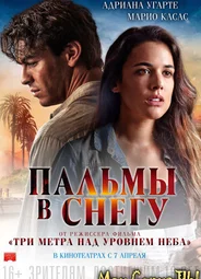 Пальмы в снегу