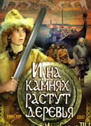 И на камнях растут деревья